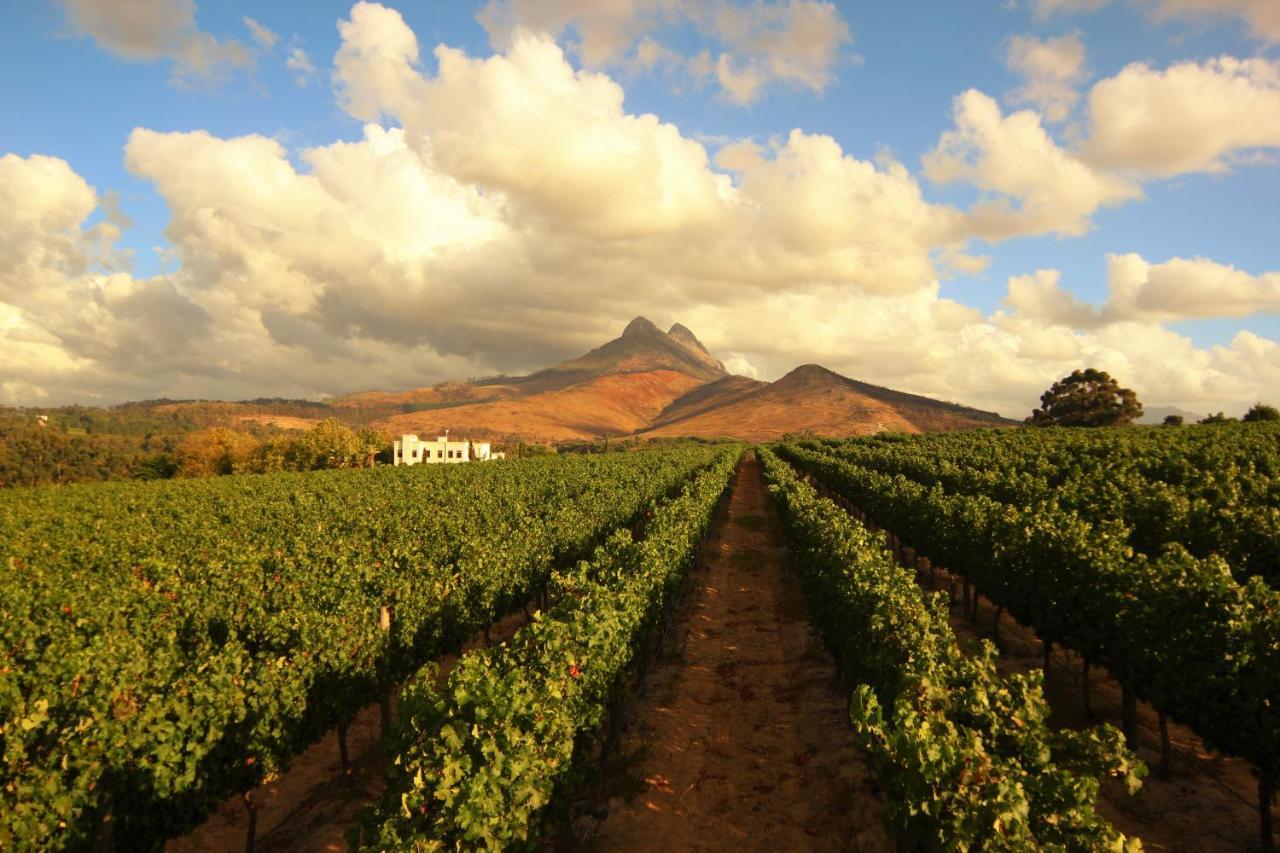 Mitre'S Edge Vineyard Studio Klapmuts Eksteriør bilde